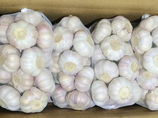 大蒜進(jìn)出口